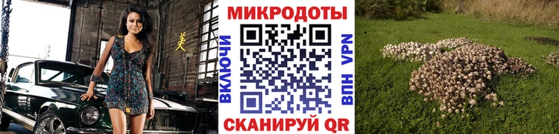 Галлюциногенные грибы Cubensis  Луховицы 